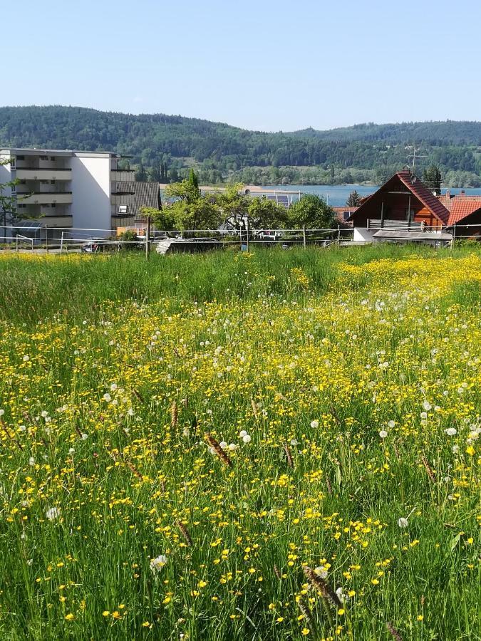 Fewo Segelwind Ludwigshafen am Bodensee Kültér fotó